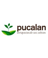 empresas_0010_empresa_de_servicios_pucalan_sur_limitada_logo